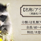 Illustration for article titled Japan’s Guardians Of The Galaxy ads have way more raccoons and trees